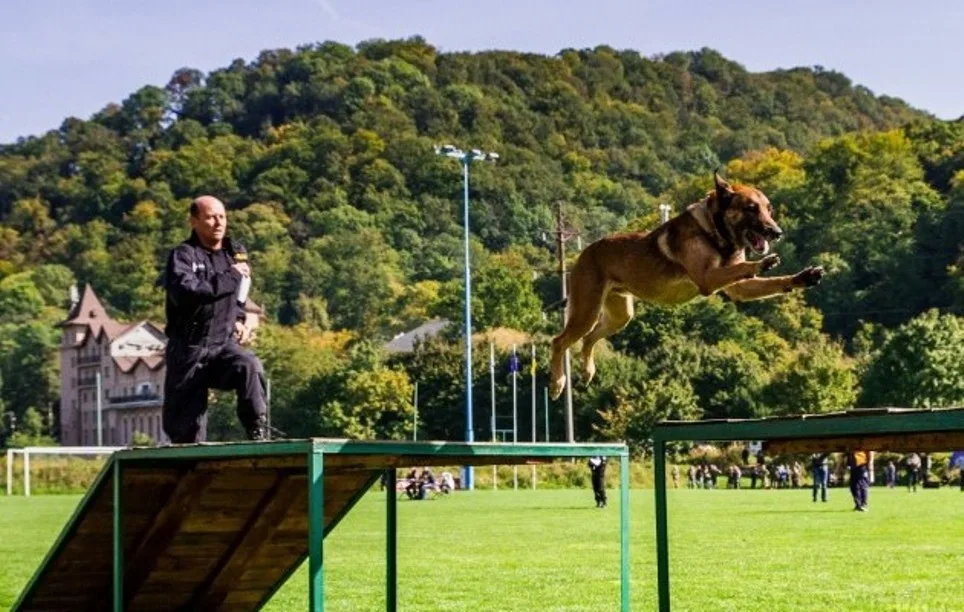 Policejní psovod z Vysočiny dovezl z mistrovství na Ukrajině první místo