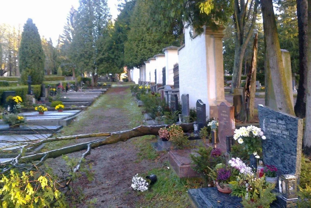 Jihlavský ústřední hřbitov je po řádění silného větru pro návštěvníky opět otevřený