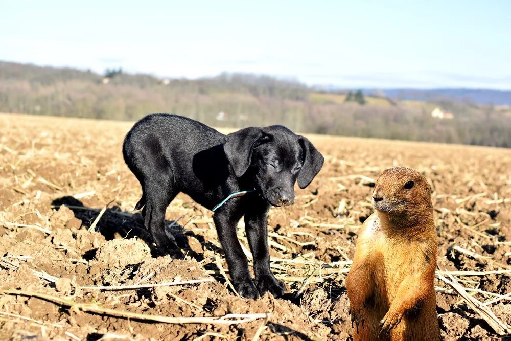ZÁPESNÍK #3: První návštěva v zoo