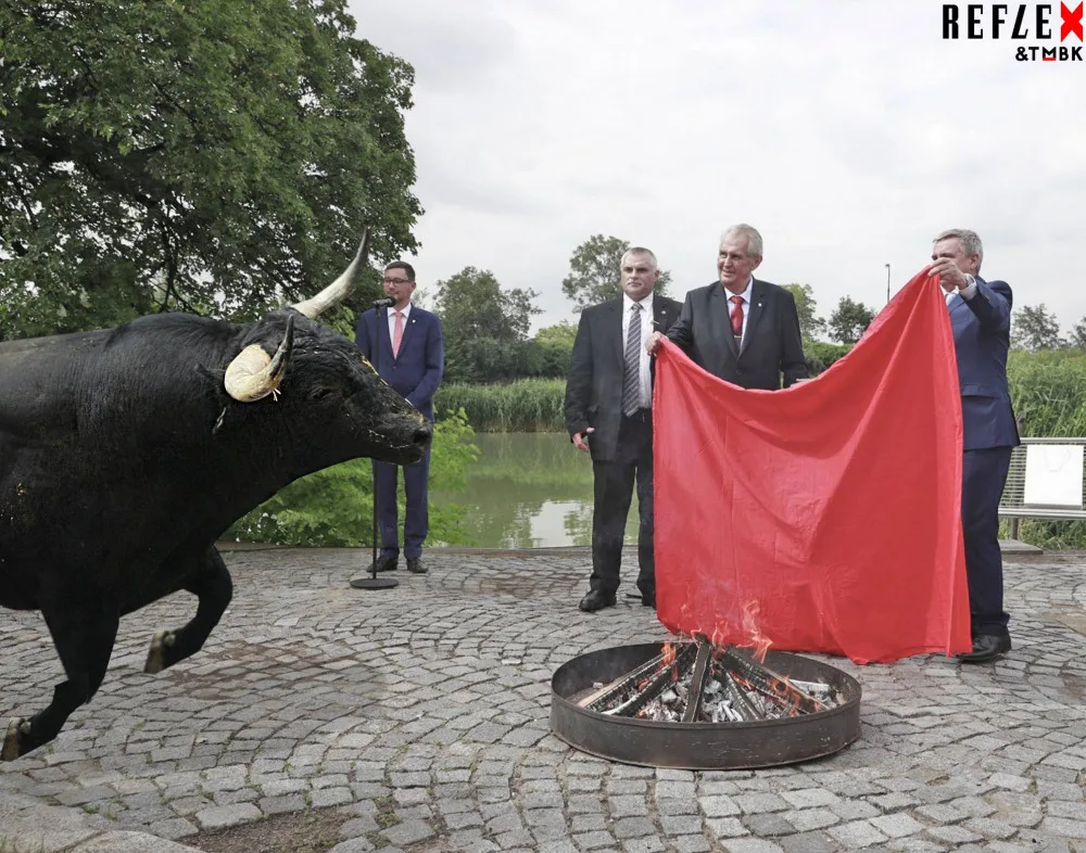 Zeman toreador nebo Zeman aktivista. Internet se baví vtipy o prezidentově pálení trenýrek