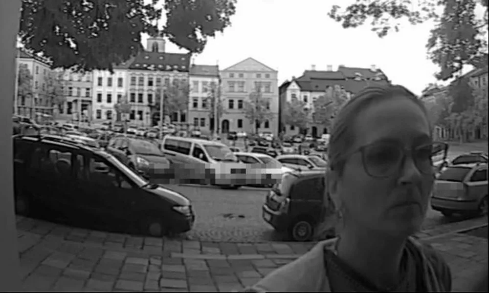 Jihlavští policisté hledají zloděje peněženky v krajském městě. Neznáte ženu na fotografii?