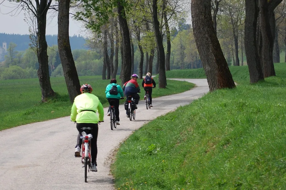 Síť elektrokol v jižních Čechách se rozrůstá