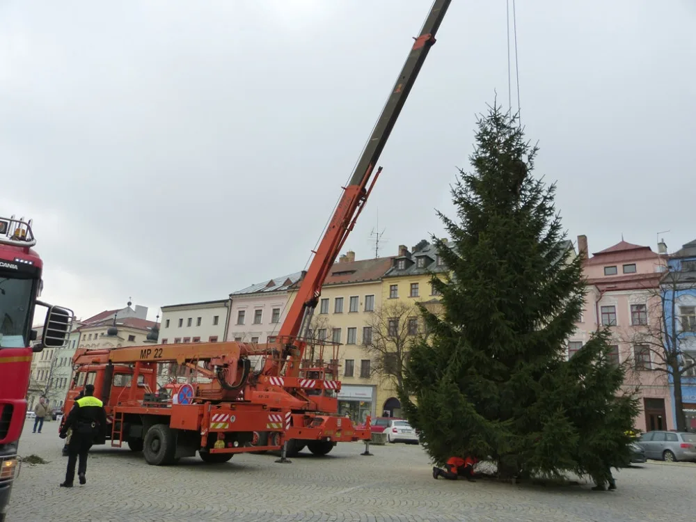 Už i Jihlava má svůj vánoční stromeček. Letos byl pokácen na Horním Kosově
