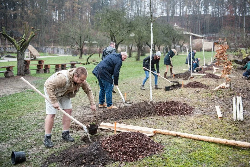Zvířata z jihlavské zoo si smlsnou na stromech od Cityparku