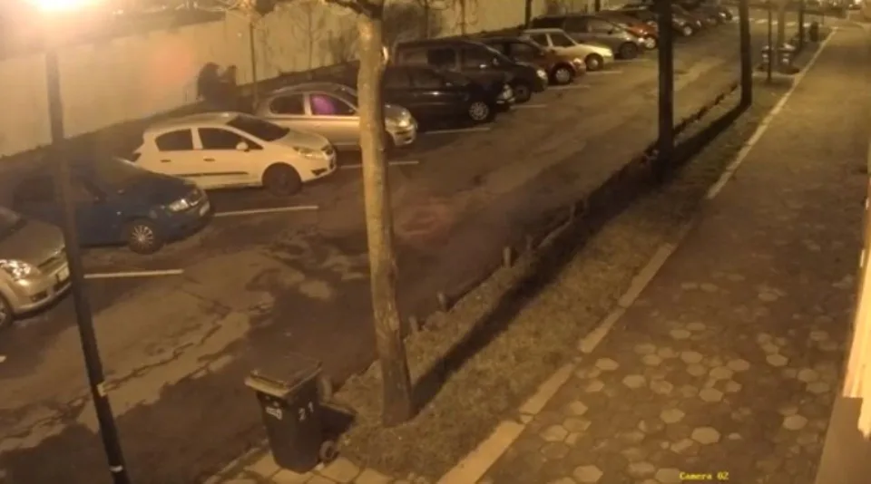 Majiteli auta byla ukradena značka na přání. Nejsou vám muži na záznamu povědomí?