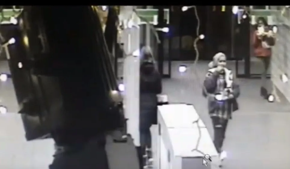 V City Parku vzal zloděj skoro třicet plyšáků. Policie hledá dívky na záznamu