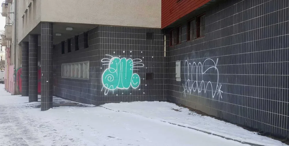  Jihlavskou Tolstého ulici „zdobí“ nové nápisy. Sprejera hledají policisté