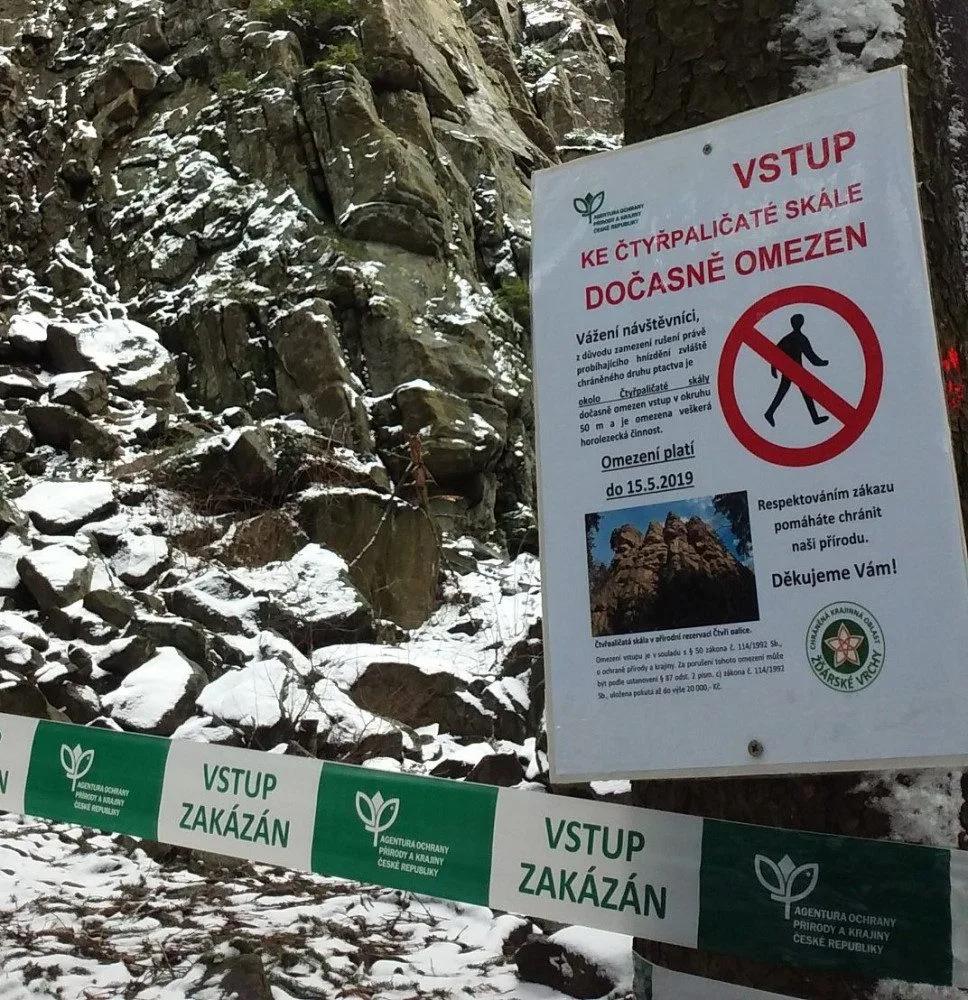 Ve Ždárských vrších nesmí turisté rušit hnízdící krkavce