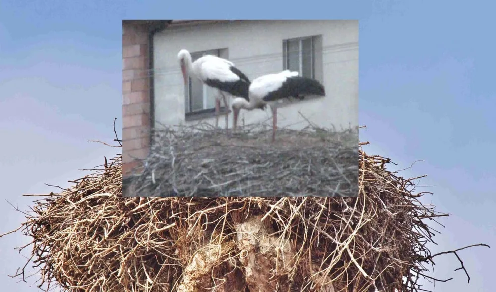 Ilustrační foto