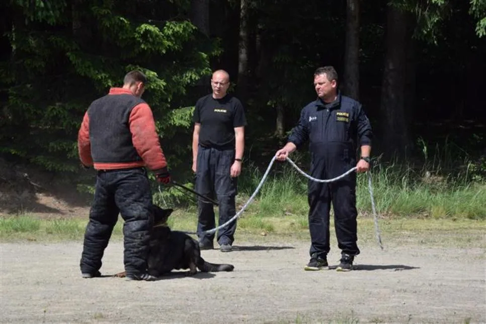 Policisté z Vysočiny školí kynology ze Zakarpatí. Již potřetí za sebou