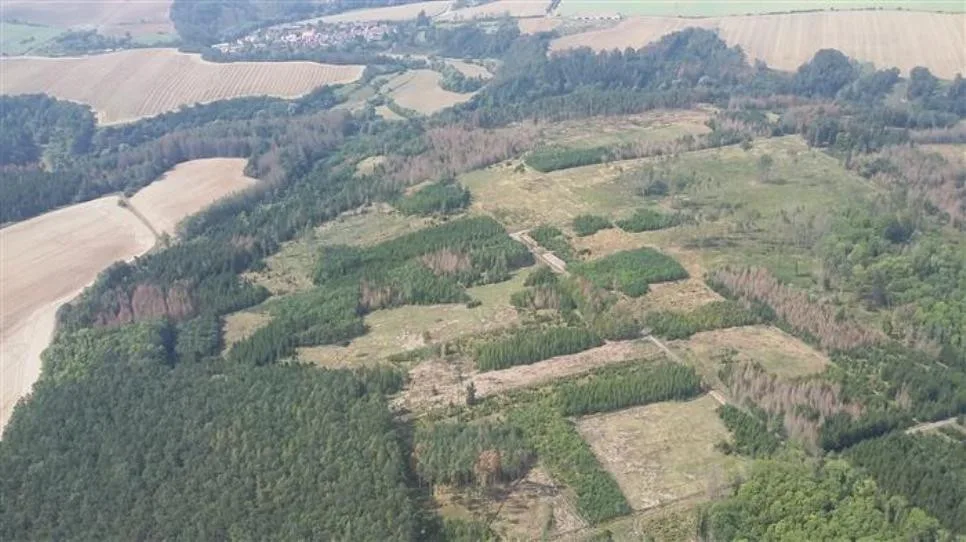 Kůrovcová kalamita na Vysočině z ptačí perspektivy. Užitečné lety hradí ministerstvo