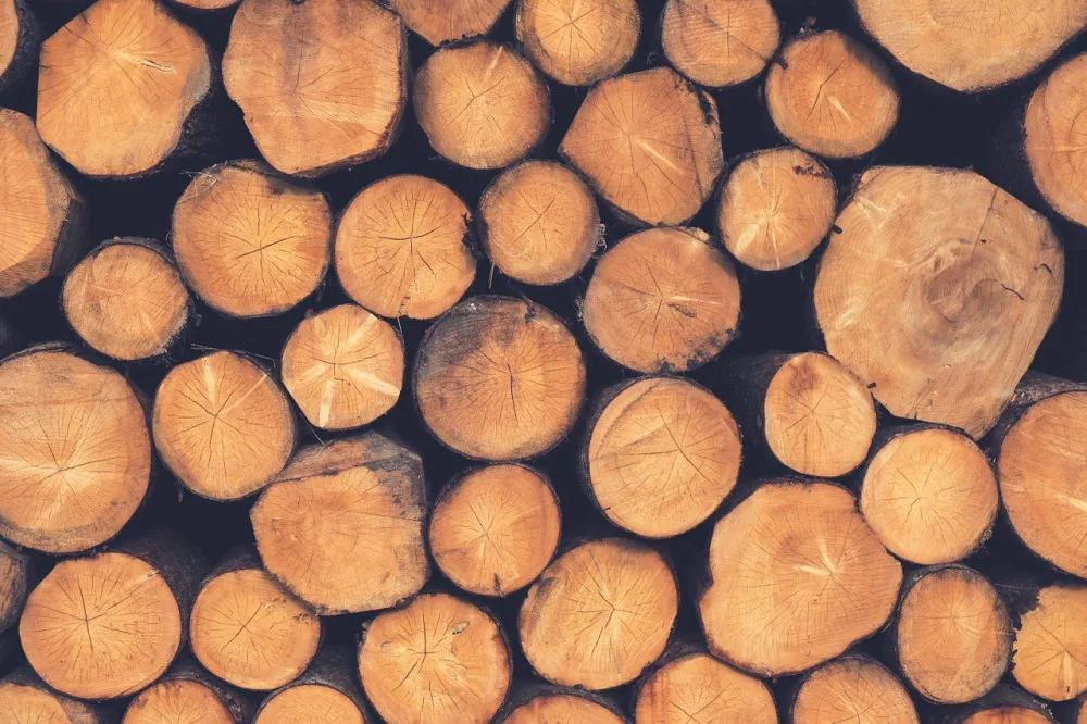 Ilustrační foto