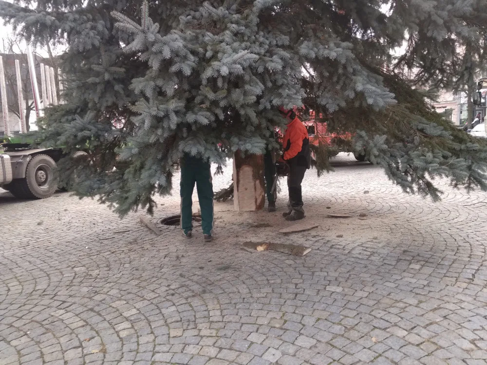 Na jihlavském
