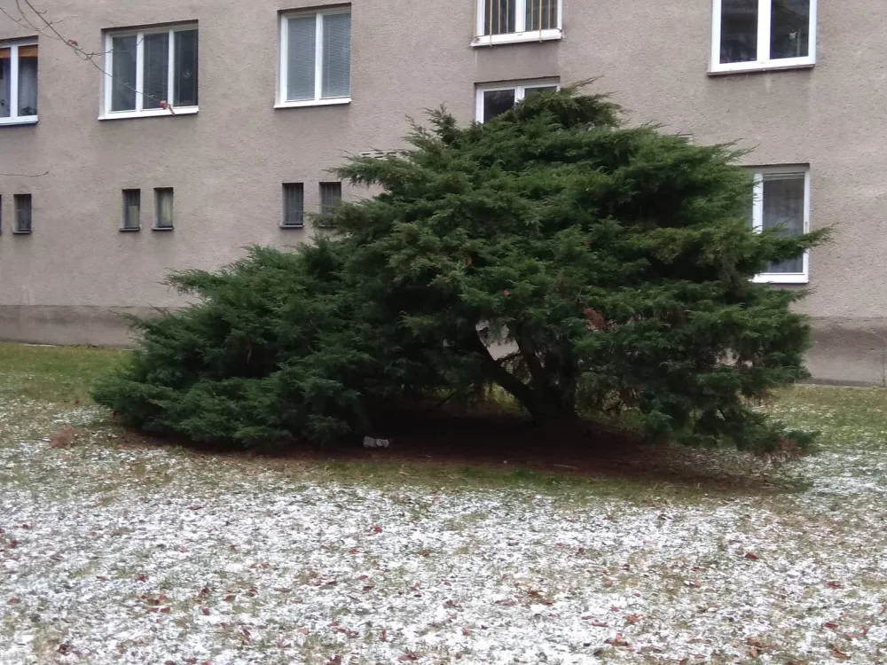 Místo, kde se bezdomovci často zdržují