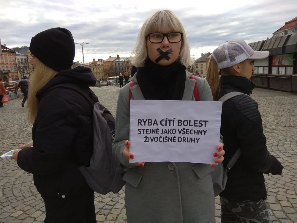 Na jihlavském náměstí se tiše protestovalo proti zabíjení kaprů na Vánoce