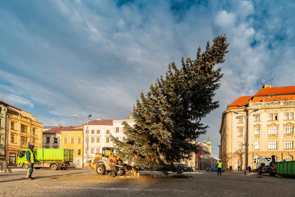 Stromek na Masarykově náměstí stál 50 dní, dnes šel k zemi. Kluziště ještě zůstává