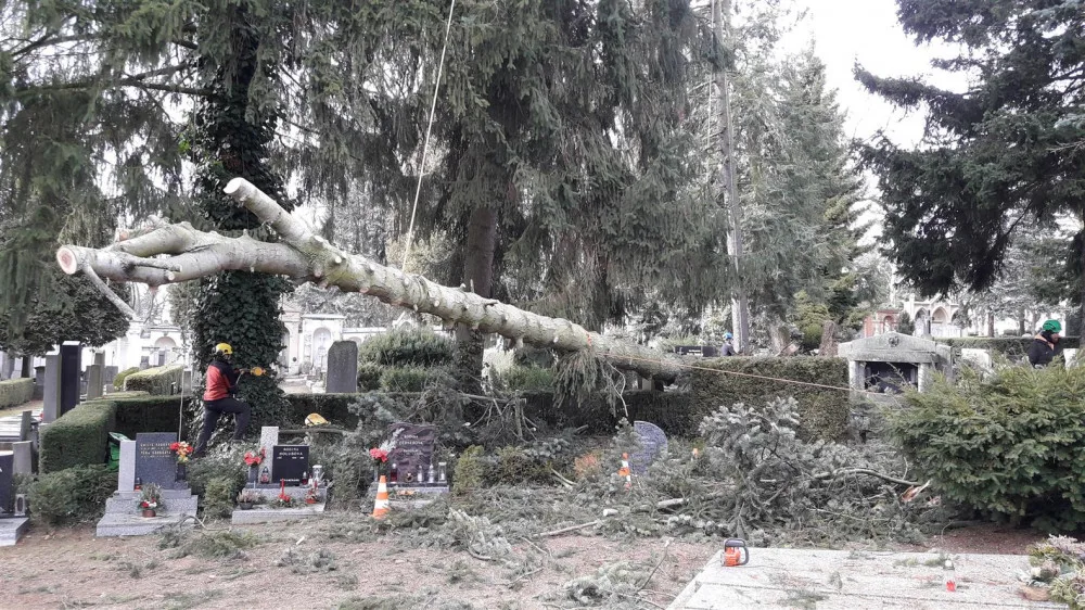 V Jihlavě začali sčítat škody po orkánu. Na ústředním hřbitově se uklízí