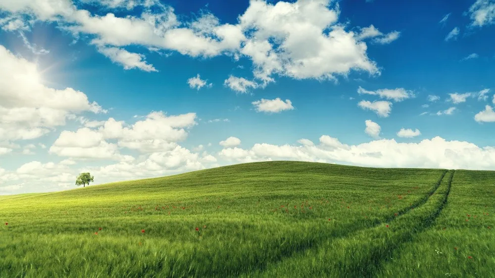 Ilustrační foto