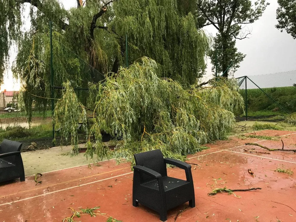 To byla pořádná šichta. Na Vysočině odklízeli hasiči po bouřkách stromy na desítkách míst