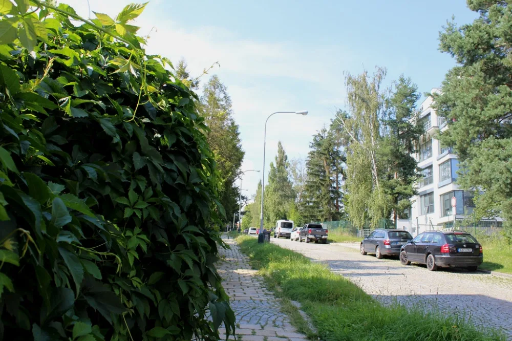 Sídliště III. má všude spoustu zeleně