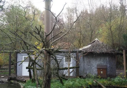 Jihlavská zoo dokončila ubikaci, v níž budou v zimě i ibisové