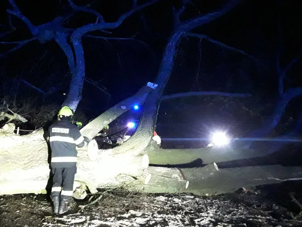 Skoro sto výjezdů kvůli počasí za 24 hodin. Řidič na Jihlavsku narazil do spadlého stromu