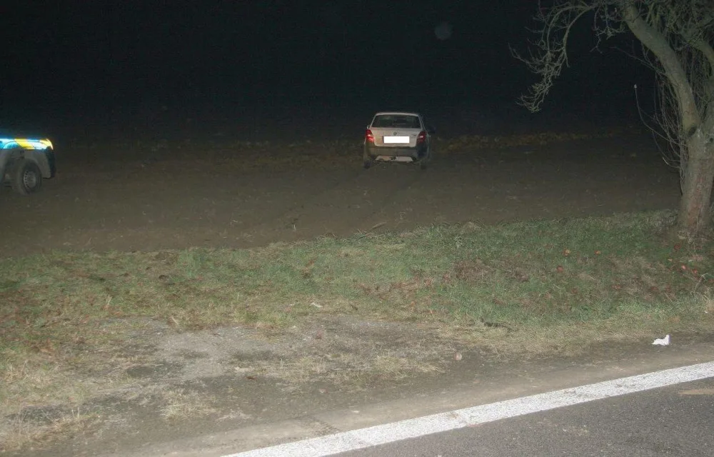 Muže, který kradl, honili strážníci v autě i na poli. Policejnímu psovi však už neunikl