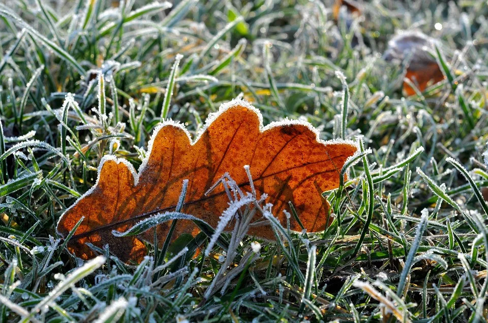 Ilustrační foto