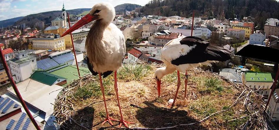 Ilustrační foto