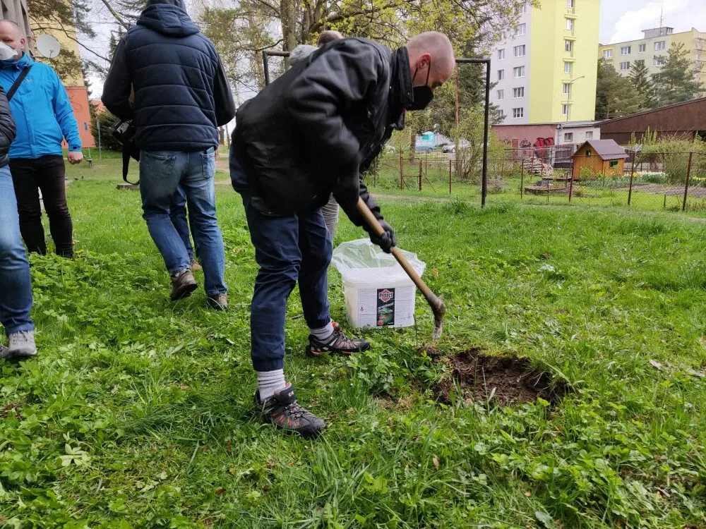 Od tohoto týdne probíhá v Jihlavě deratizace. Potkanů je nejvíce na Březinkách, Dolině nebo v Kollárově ulici