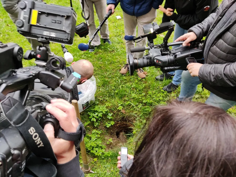 Od tohoto týdne probíhá v Jihlavě deratizace. Potkanů je nejvíce na Březinkách, Dolině nebo v Kollárově ulici
