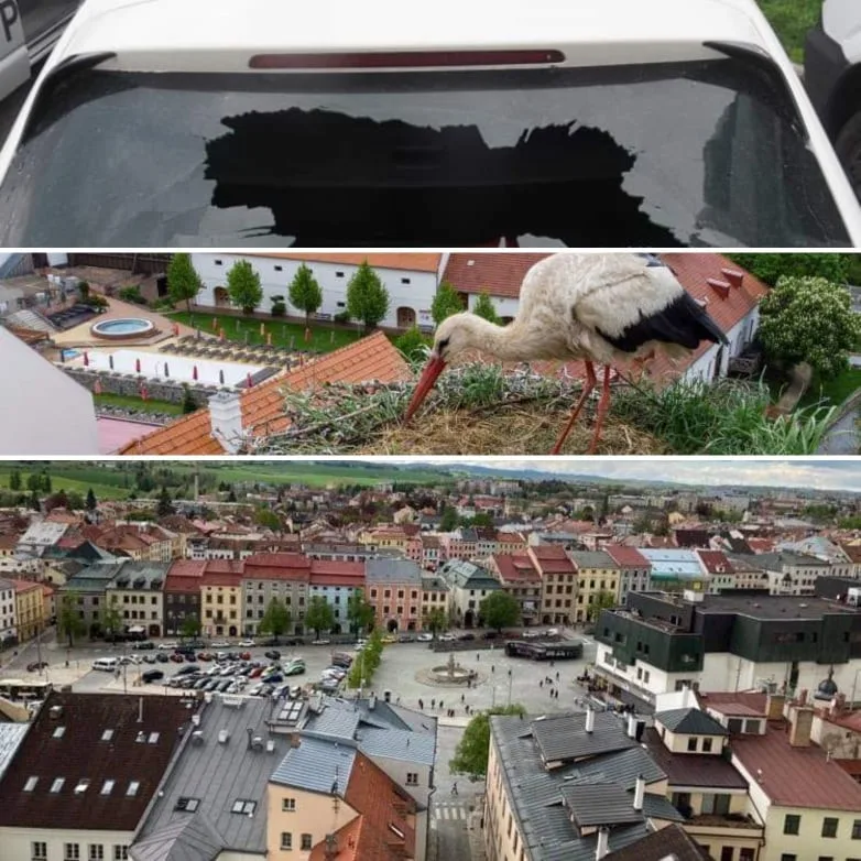 KVĚTEN 2021: Zámek prohozený oknem auta, příběh čapí rodiny nebo otevřená vyhlídka sv. Jakuba