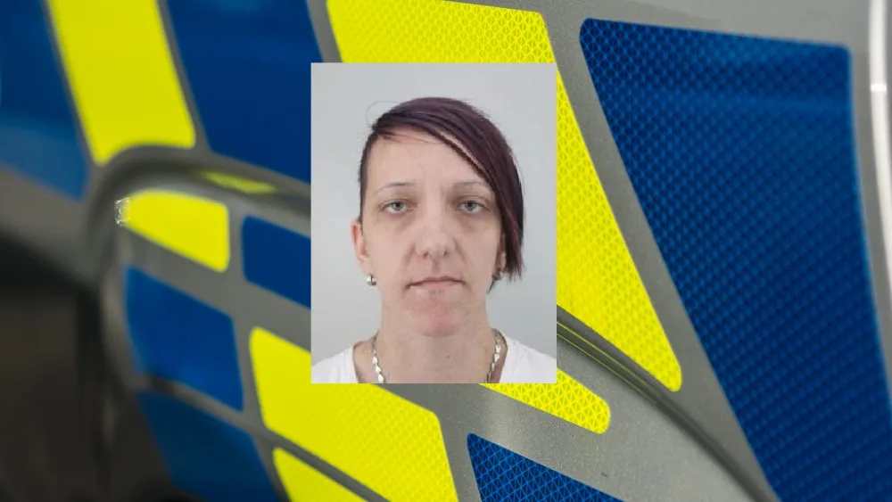 Vyholená a s vytetovaným štírem. Třiatřicetiletá žena o sobě nedala od května vědět