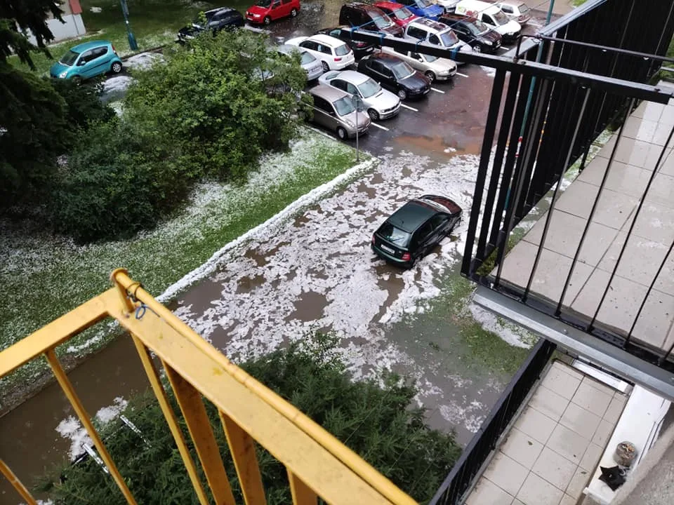 Hasiči na Vysočině po deštích odstraňovali popadané stromy a odčerpávali vodu
