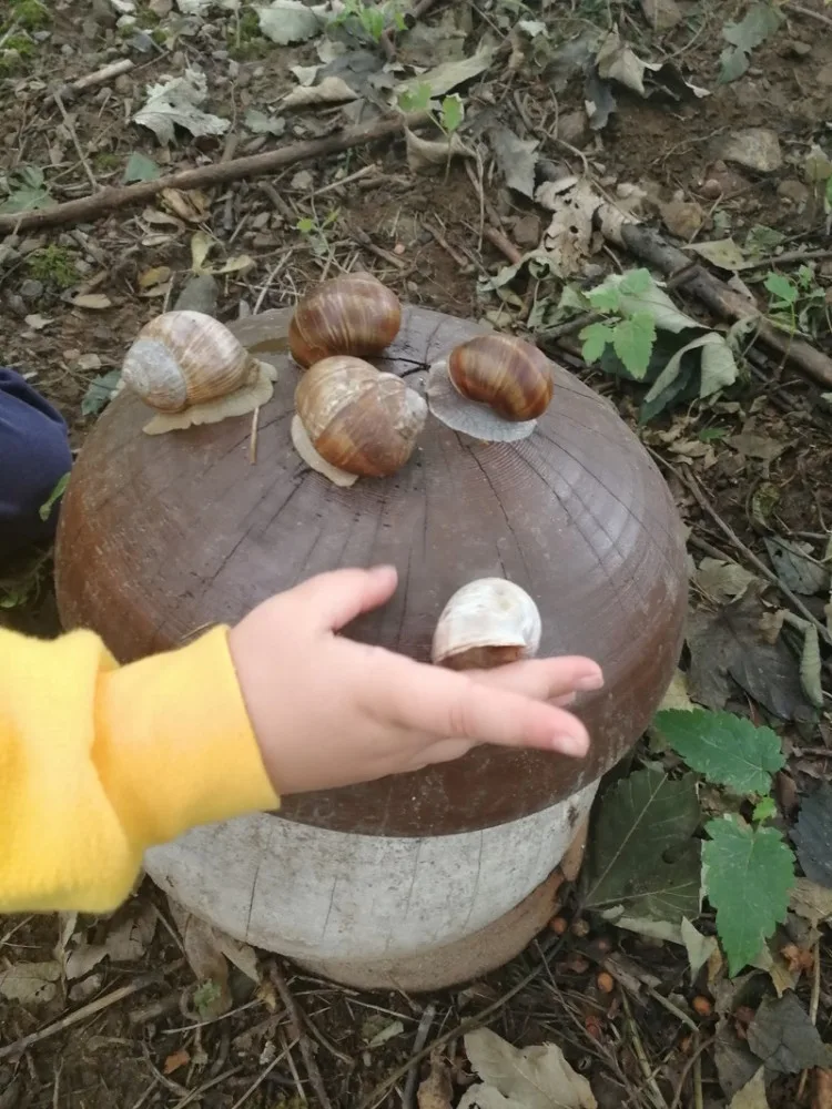 Tip na výlet. Malé i velké houby v obci Kněževes, děti potěší hřiště i stezka s úkoly, Zdroj: https://www.malivyletnici.cz