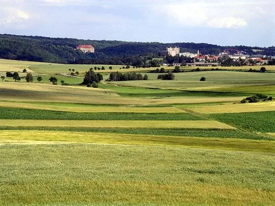 Pohled z rozhledny směr Náměšť nad Oslavou