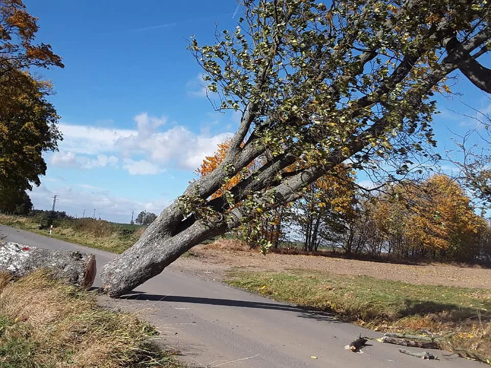 Vítr trápí Vysočinu i nadále. Domácnosti jsou bez proudu, problémy jsou i na železnici