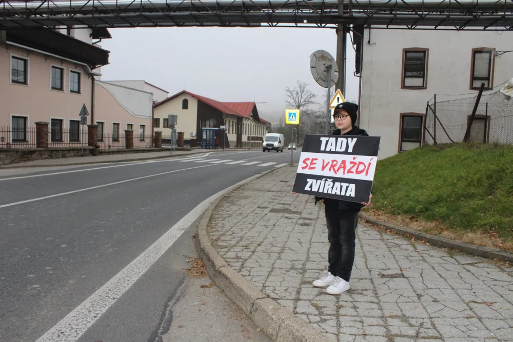 Jatka Kosteleckých uzenin dnes střežili aktivisté. Loučili se se zvířaty, která čeká porážka