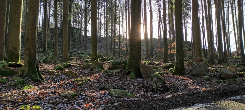 Tip na výlet: Čtrnáct zastavení, odpočinek u Formanské studánky. Projděte si Naučnou stezku Čeřínek