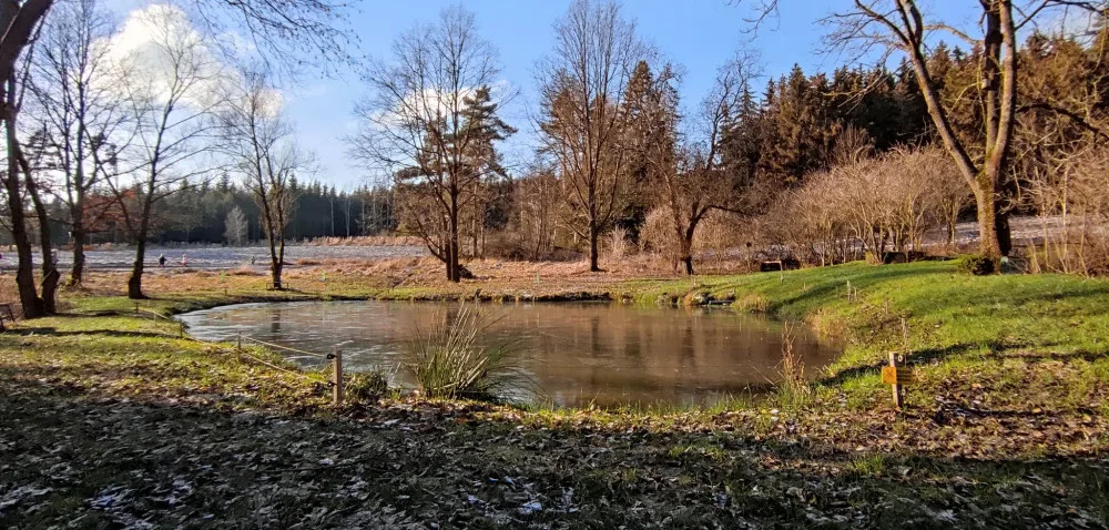 Tip na výlet: Čtrnáct zastavení, odpočinek u Formanské studánky. Projděte si Naučnou stezku Čeřínek