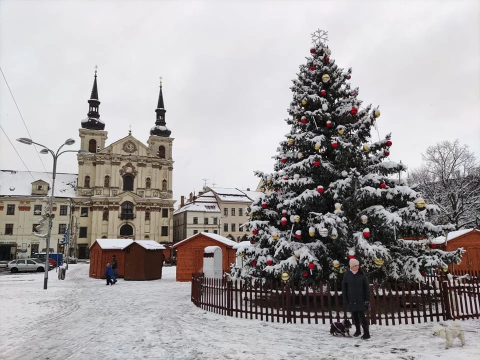 Jihlava