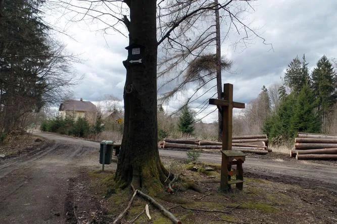 Tip na výlet: Vydejte se Stezkou k pramenům Počátek. Trasa nabídne odpočinek i kvalitní pitnou vodu