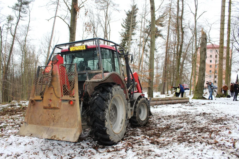 Heulosem se rozléhá zvuk motorových pil. Stromy s tečkou musí jit co nejdříve k zemi