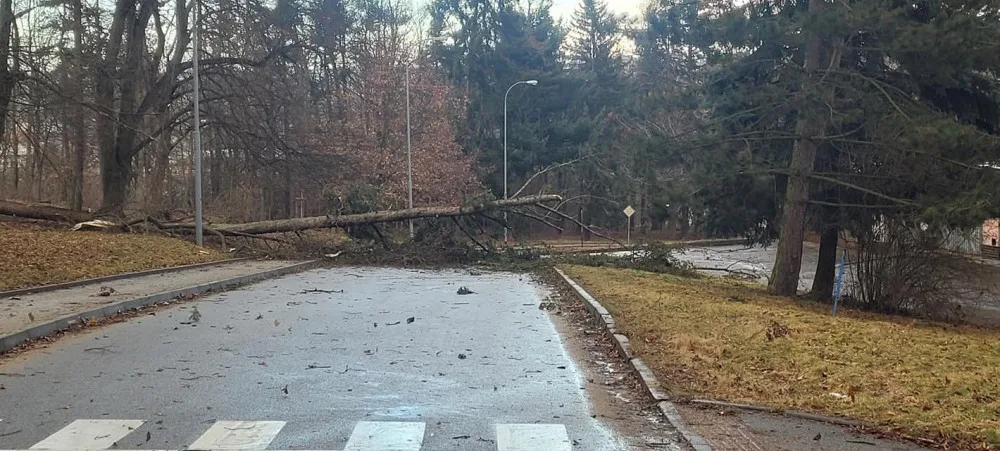 Na Vysočině je bez elektřiny několik tisíc domácností, vítr komplikuje i dopravu