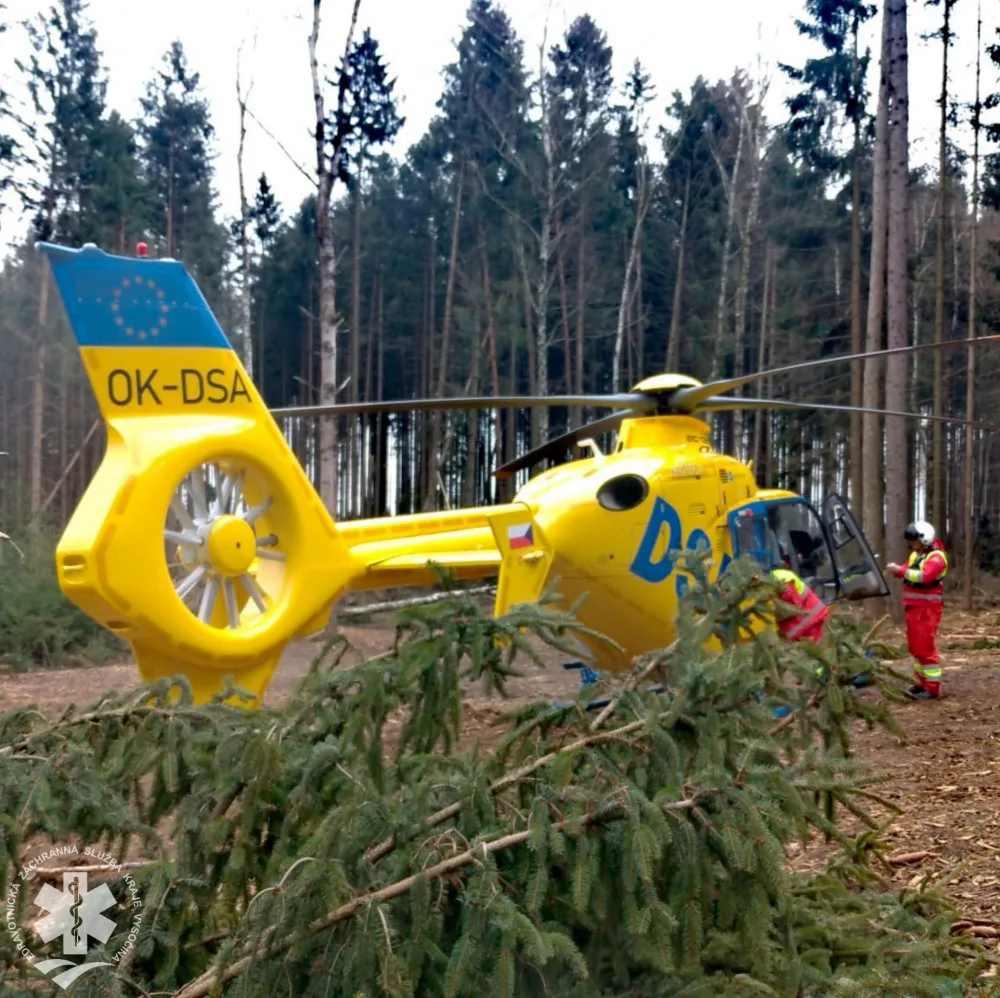 Vrtulník dnes letěl do lesa ke zraněnému muži. Během kácení na něj spadla větev