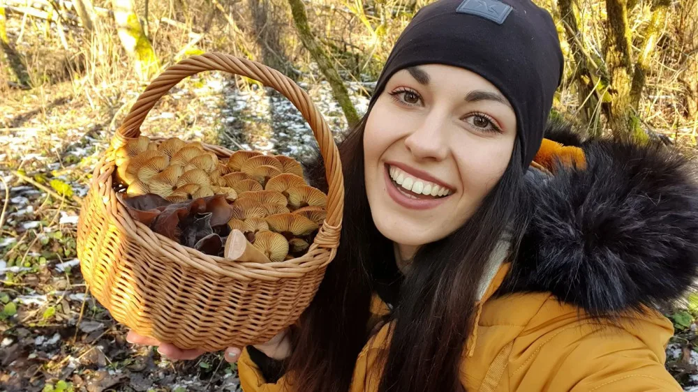 Šumavská houbička inspiruje tisíce lidí k houbařským výpravám do lesa v každém ročním období