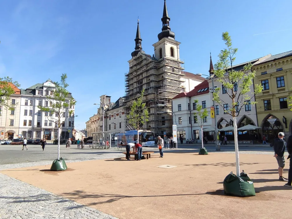 Centrum Jihlavy krášlí nový parčík s pěti stromy. V rámci revitalizace náměstí vzniknou ještě dva