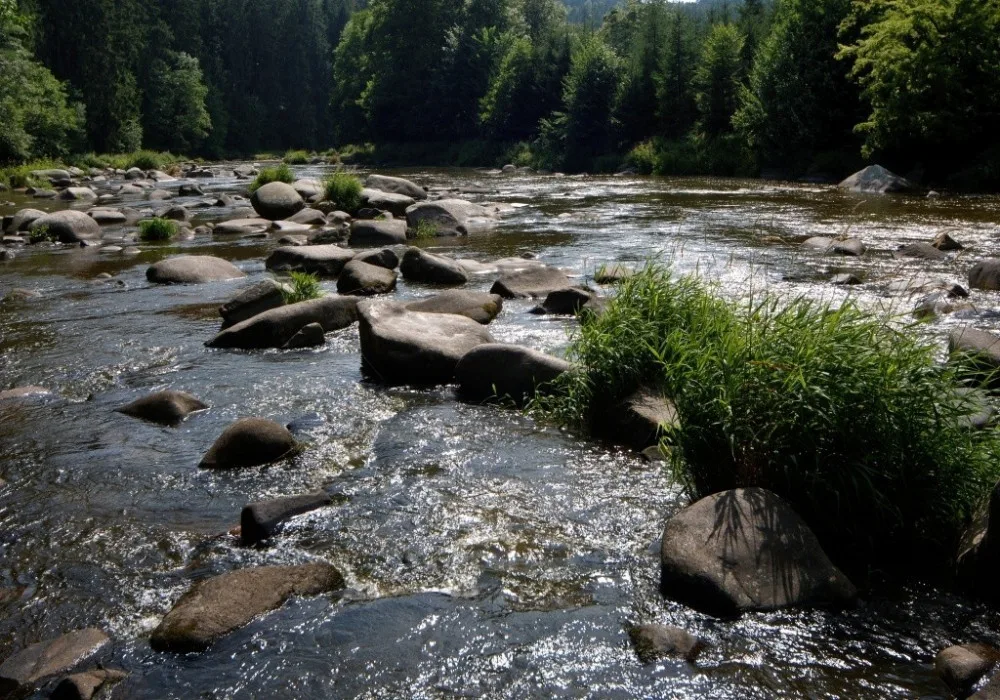 Stvořidla