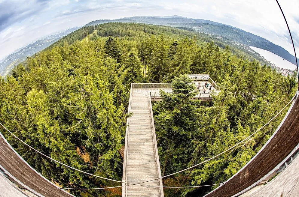 Stezka korunami stromů Lipno slaví první kulatiny. Oslavte je společně s ní i Monikou Absolonovou!