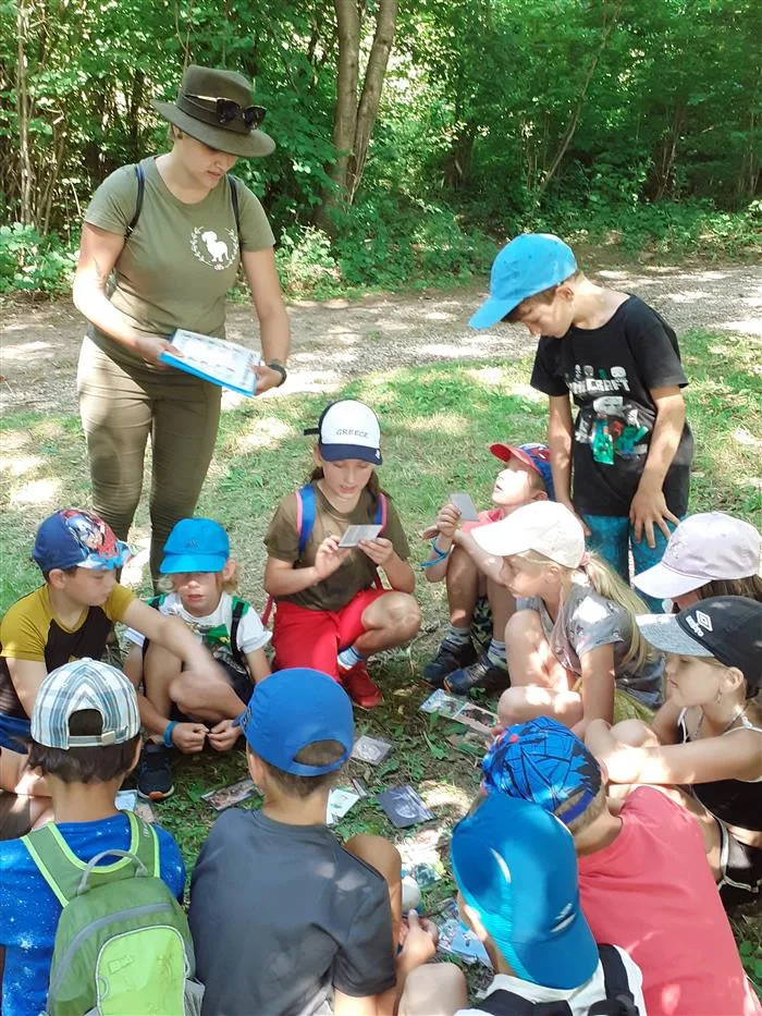 O lese se učí děti i o prázdninách. Tématem je zvěř i to, kde se může rozdělat oheň